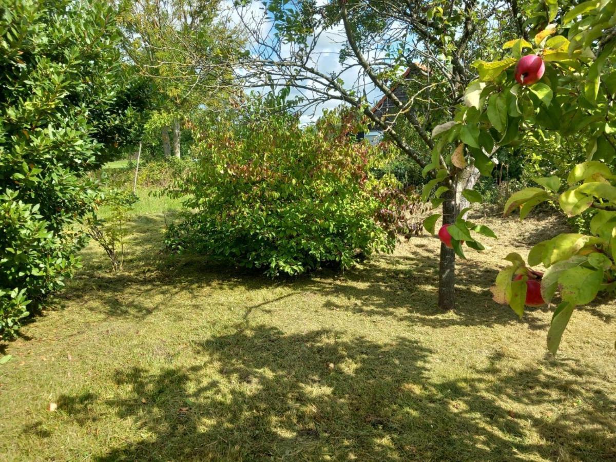 Le Jardin Secret Villa Saint-Omer  Exterior photo